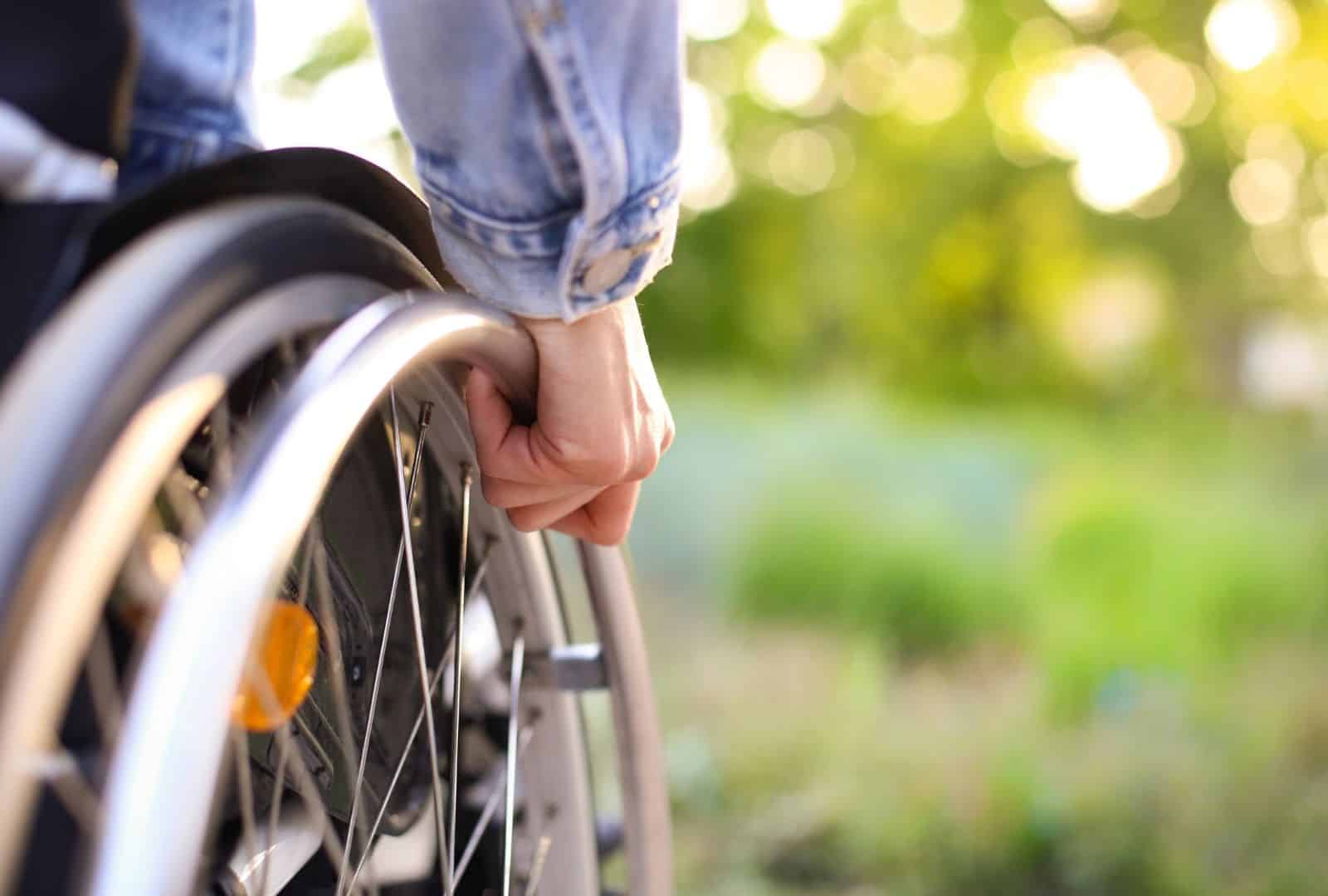 בדיקת תו נכה לפי מספר תעודת זהות